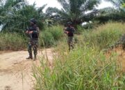 Jaga Stabilitas Keamanan Perbatasan, Satgas Pamtas Yonif Mekanis 643/Wns Lakukan Patroli.