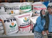 Bermodal R-DKK Kelompok Diduga PPL Elyandi Jual Pupuk Subsidi Diatas Harga Hate