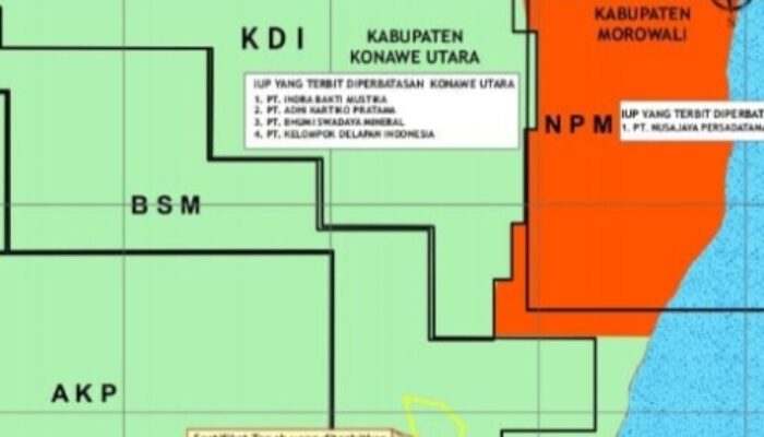 Fakta Baru BPN Konut Diduga Terbitkan Sertifikat Hak Milik Woroagi: Ada Apa Dibalik Usulan Revisi 3 Titik Koordinat Pal Batas