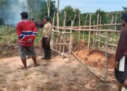 Gotong Royong Masyarakat Desa Persiapan Marloso untuk Membuka Lahan Baru Tempat Pemakaman Umum.