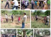 Polres Kuansing dan Dinas Kesehatan Lakukan Vaksinasi Terhadap Hewan Ternak, Antisipasi Penyakit Mulut Dan Kuku ( PMK )