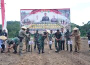 Wujudkan Ketahanan Pangan,Kodam XVIII/Kasuari Manfaatkan Lahan Tidur Bertanam Jagung