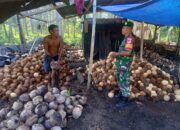 Ketahanan Pangan: Babinsa Bantu Warga Kelolah Kopra