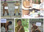 𝗕𝘂𝗽𝗮𝘁𝗶 𝗡𝗶𝗮𝘀 𝗕𝗮𝗿𝗮𝘁 𝗞𝘂𝗻𝗸𝗲𝗿 𝗱𝗶 𝗗𝗲𝘀𝗮 𝗚𝘂𝗻𝘂𝗻𝗴 𝗕𝗮𝗿𝘂 𝗞𝗲𝗰 𝗠𝗼𝗿𝗼’𝗼