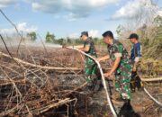 Dandim Palangka Raya Berjibaku Ikut Terjun Padamkan Karhutla.