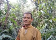 “WOW” Ternyata Madu Asli Hutan Pelalawan Sangat Luar Biasa Potensinya Untuk Kesehatan Tubuh