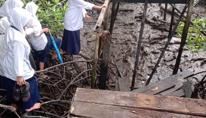 Akses Tunggal Menuju Pasar dan Sekolah di Desa Surayya Mandiri Rusak Berat