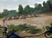 Firdaus “Ketua LH Laskar Merah Putih” Kabupaten Bungo Angkat Bicara Terkait “Aktifitas Peti” Unit 17 Desa Muara Kuamang Teluk