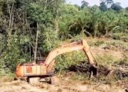 Maraknya “Mafia Tanah” di Inhu, Aktivis Hukum ” Sujarwo.SH Sagat Prihatin  