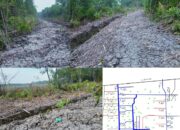 Diduga Pengrusakan Hutan disekitar Tepi Laut Kepenghuluan Sungai Panji-Panji, Polda Riau Diminta Bertindak.
