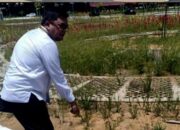 Dugaan Kasus RTH Putri Pinang Masak 34.5 Miliar, Kajati Jambi Semua Yang Terlibat Wajib Diperiksa