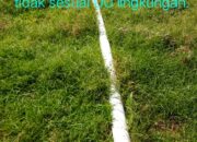 Dikompirmasi Masalah Pasangan Pipa Limbah PT. BAM. Kepala Dinas Lingkungan Hidup Muaro Jambi” Bungkam”