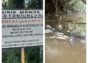 Orang Tak Bertangung Jawab, Diduga Meracuni Ikan di Sungai Sako hingga Bergelimpangan