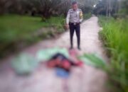 Penemuan Mayat Bersimbah Darah dijalan Heboh Kan Masyarakat Kuansing