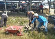 Kapolsek Kampar Kiri Beserta Parsonil Adakan Goro di Pasar Tradisional Demi Kebersihan Lingkungan