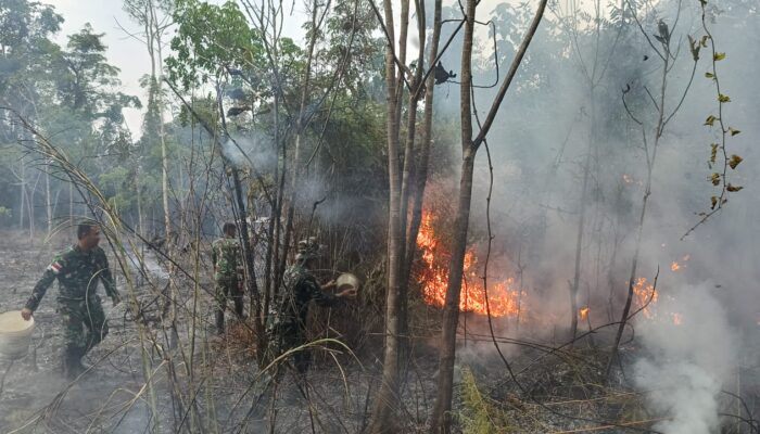 Sigap, Satgas Pamtas RI – Malaysia Yonarmed 10/ Bradjamusti Padamkan Kebakaran Hutan dan Lahan