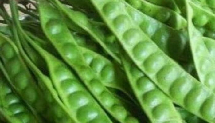 Ini Manfaat Petai Bagi Kesehatan.