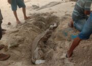 Warga Pulau Panjang di Hebohkan Dengan Adanya Penemuan Sejumlah Jasad Mayat di Pinggir Pantai