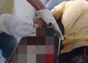 Jari Tangan Putus, Alamsyah Minta CV. Intan Sembilan Berikan Santunan Asuransi Kecelakaan Kerja