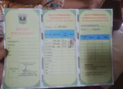 Miris!; SMAN 1 Lembah Melintang, Sangat Meresahkan Wali Murid Terkait Adanya Pungutan Uang SPP Senilai Rp 100.000;