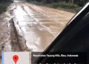 Jalan Menuju Siak, Tuntutan Warga Gerbang Sari: Harapan Terabaikan, dimana Dinas Terkait Saat Ini?