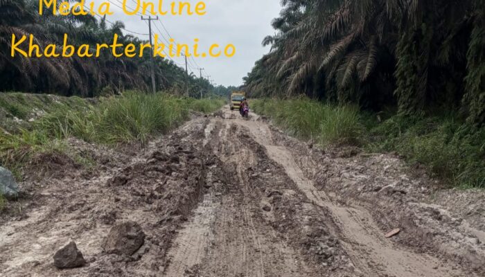 Penderitaan Akses Jalan Desa Beringin: Panggilan untuk Perhatian Pemerintah