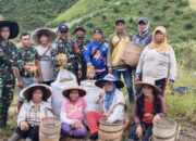 Satgas Pamtas RI-Mly Yonarmed 16/TK Pos Bantan Bantu Masyarakat Panen Padi