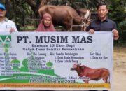 PT Musim Mas Salurkan 13 Ekor Hewan Qurban di Hari Raya Idul Adha