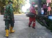 Peran Aktif Babinsa Turut Cegah Penyakit DBD
