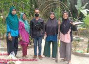 Ibu – Ibu, PKK RT 03 RW 01 Desa Meranti Kompak Gotong Royong Bersihkan Tanaman Toga