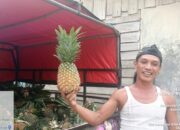 Pedagang Buah Keliling Asal Kuala Cenaku, Indragiri Hulu