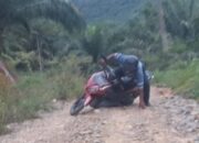 Kondisi Jalan Rusak di Desa Penguhapan Mengkhawatirkan, Kepala Desa Minta Perhatian Pemerintah