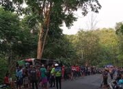 Bus Terguling di Jalan Raya Linggoasri Kajen, Polisi Amankan dan Evakuasi Korban