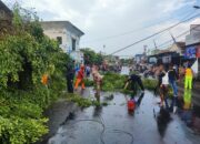 Pohon Beringin Tumbang, Timpa Layos Kios Pasar Karanganyar dan Sepeda Motor