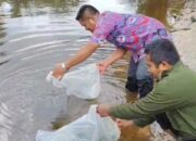 Pemdes Bagan Limau Lepaskan 8.000 Bibit Ikan Patin di Sungai untuk Jaga Kelestarian Lingkungan