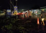 Polisi dan Petugas BPBD serta Warga Gotong Royong Evakuasi Pohon Tumbang