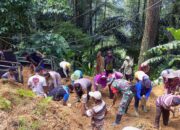 Bersihkan Material Longsor, TNI-Polri Kerja Bakti Bersama Warga