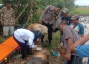 Sesosok Mayat Pria Ditemukan di Area Persawahan, Sragi Pekalongan