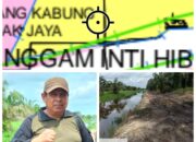 Produk Jurnalis Kog Bisa Dikatakan Pencemaran Nama Baik Oleh Kuasa Hukum KUD Delima Sakti