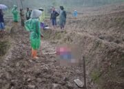 Diduga Akibat Kelelahan, Warga di Kandangserang Pekalongan Ditemukan Meninggal di Sawah