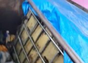 Diduga Tergiur Keuntungan Besar, SPBU 142836109 Pangkalan Kerinci Jual BBM Solar Subsidi Ke Pelangsir Truk Modifikasi Baby Tank