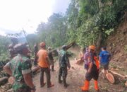 Pohon Tumbang di Kandangserang Tutupi Jalan, Petugas Gabungan Lakukan Evakuasi
