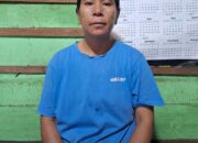 Pemecatan Tiba-Tiba dan Persoalan Utang PT. ADEI: Kasus Hermian Boru Silaban Menjadi Sorotan Publik