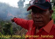 Pelalawan Dilanda Banjir, Kebakaran Mengancam Areal TNTN di Kawasan KTHK