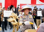 Irwasum Polri Pimpin Panen Jagung Serentak di Madiun,Wujudkan Astacita