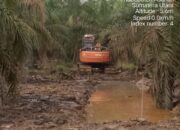 Kebakaran Jenggot Personel POLHUT KPH III Kisaran Terkait Operasi Alat Berat di Hutan Asahan