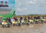 Bupati Zukri Canangkan Kuala Kampar Jadi Lumbung Pangan Riau, Tanam Padi Serentak Dukung Ketahanan Nasional
