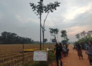 Bocah 10 Tahun di Pekalongan Meninggal Tersengat Listrik Tiang Penyangga Kabel Jaringan Internet