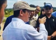 Jikalahari Kecam Wakil Bupati Pelalawan: Dinilai Normalisasi Pelanggaran Lingkungan PT RAPP