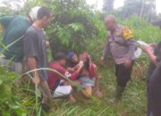 Polisi dan Warga Temukan Warga yang Hilang Tersesat di Area Perkebunan 